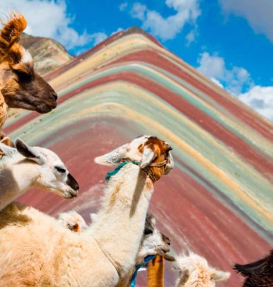 Montaña de 7 Colores – Palcoyo 1 Día